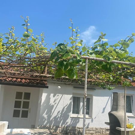 Apartman Nela Poreč Exterior foto
