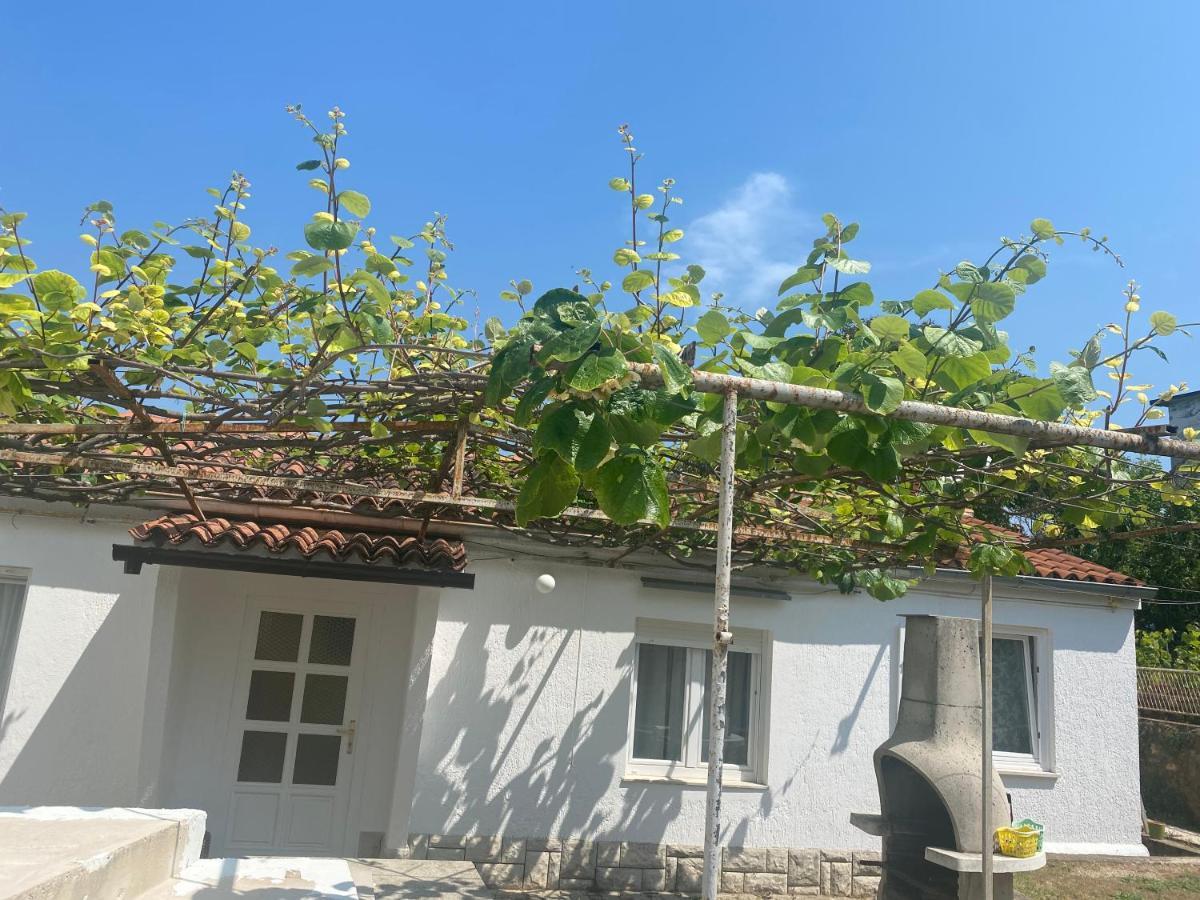 Apartman Nela Poreč Exterior foto